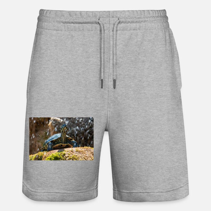 Trachemys scripta scripta scripta - Short de jogging bio TRAINER Stanley/Stella unisexe - gris chiné