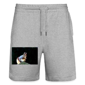 Eichhörnchen, Isibat - Stanley/Stella Unisex Bio Joggingshorts Trainer  - Grau meliert - Vorne - Nik (191cm) & Marisol (170cm)