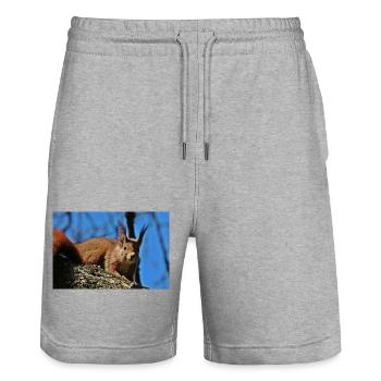 Eichhörnchen - Stanley/Stella Unisex Bio Joggingshorts Trainer  - Grau meliert - Vorne - Nik (191cm) & Marisol (170cm)
