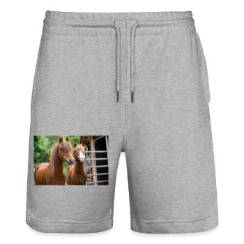 Jana und Josy die beiden Reitponystuten - Stanley/Stella Unisex Bio Joggingshorts Trainer  - Grau meliert - Vorne - Nik (191cm) & Marisol (170cm)