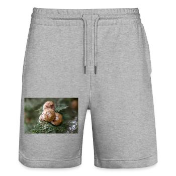Cyprès d’Italie aussi cyprès de Méditerranée - Short de jogging bio TRAINER Stanley/Stella unisexe - gris chiné - Devant - Nik (191cm) & Marisol (170cm)