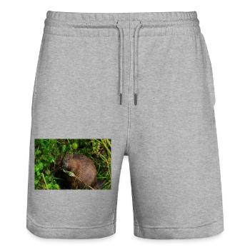 Beavers 3 - Stanley/Stella Trainer Unisex Organic Jogging Shorts - heather grey - Front - Nik (191cm) & Marisol (170cm)