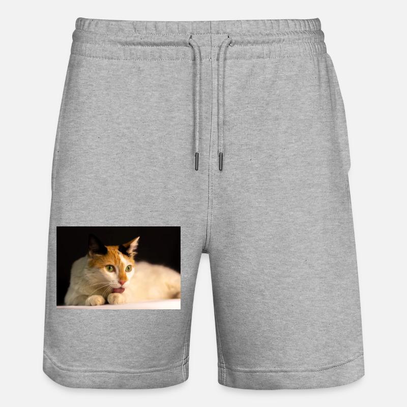 le chat - Short de jogging bio TRAINER Stanley/Stella unisexe - gris chiné