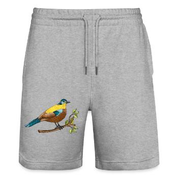 Bunter Vogel - Stanley/Stella Unisex Bio Joggingshorts Trainer  - Grau meliert - Vorne - Nik (191cm) & Marisol (170cm)