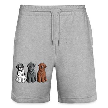 Three Newfoundland Dogs - Stanley/Stella Trainer Unisex Organic Jogging Shorts - heather grey - Front - Nik (191cm) & Marisol (170cm)