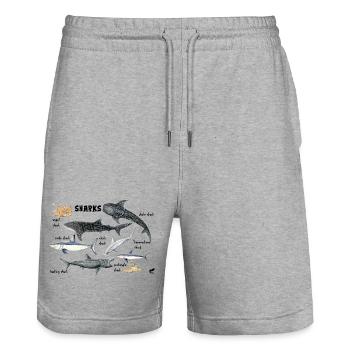 Requins du monde: baleine, maraîche, poisson-ange - Short de jogging bio TRAINER Stanley/Stella unisexe - gris chiné - Devant - Nik (191cm) & Marisol (170cm)