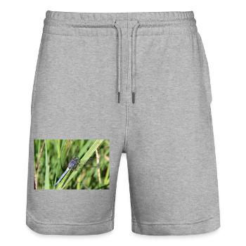 Libellen Poster Blaupfeil Geschenk - Stanley/Stella Unisex Bio Joggingshorts Trainer  - Grau meliert - Vorne - Nik (191cm) & Marisol (170cm)