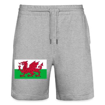 sticker flag of Wales Aufkleber Wales sticker - Stanley/Stella Trainer Unisex Organic Jogging Shorts - heather grey - Front - Nik (191cm) & Marisol (170cm)