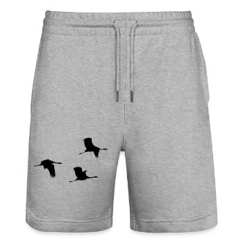 Grues volantes Vecteur - Short de jogging bio TRAINER Stanley/Stella unisexe - gris chiné - Devant - Nik (191cm) & Marisol (170cm)