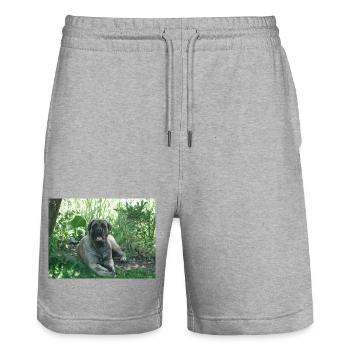 Vieux dogue anglais dans le jardin - Short de jogging bio TRAINER Stanley/Stella unisexe - gris chiné - Devant - Nik (191cm) & Marisol (170cm)
