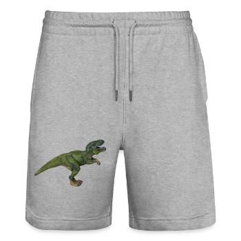 Tom T-Rex - Stanley/Stella Trainer Unisex Organic Jogging Shorts - heather grey - Front - Nik (191cm) & Marisol (170cm)