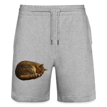 schlafende Katze, tabby motiv, pelzig - Stanley/Stella Unisex Bio Joggingshorts Trainer  - Grau meliert - Vorne - Nik (191cm) & Marisol (170cm)