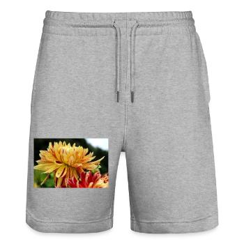 Dahlia fleur jaune, fleur - Short de jogging bio TRAINER Stanley/Stella unisexe - gris chiné - Devant - Nik (191cm) & Marisol (170cm)