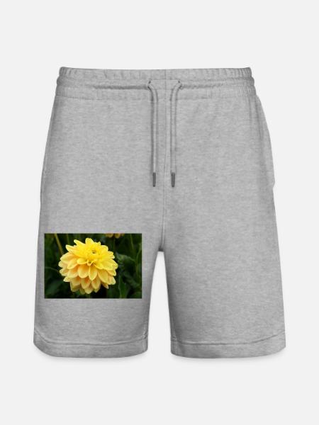 Dahlia gul blomst, blomst - Stanley/Stella Trainer økologiske unisex joggingshorts - grå meleret
