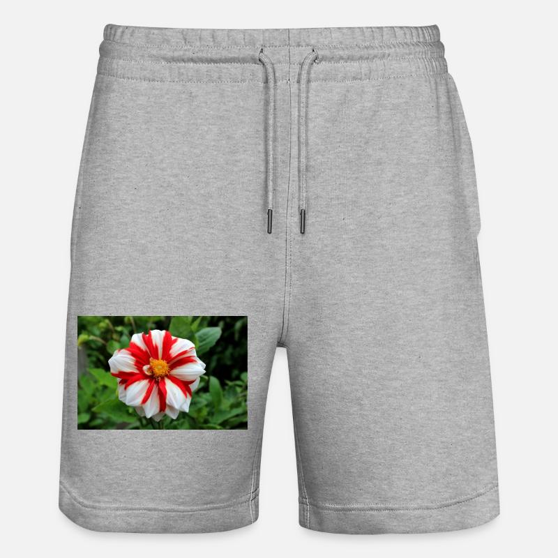 Dahlia blanc rouge fleur, fleur - Short de jogging bio TRAINER Stanley/Stella unisexe - gris chiné