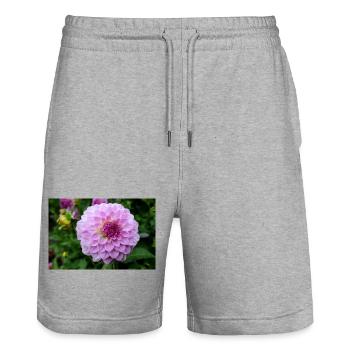 Dahlie pink rosa Blüte ,Blume - Stanley/Stella Unisex Bio Joggingshorts Trainer  - Grau meliert - Vorne - Nik (191cm) & Marisol (170cm)
