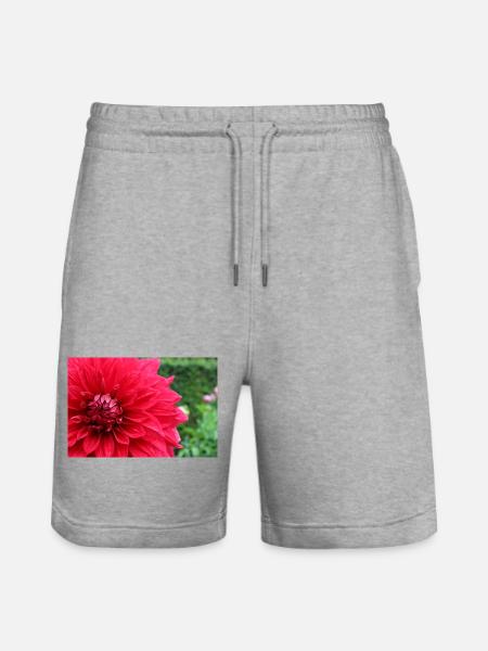 Dahlia Red Blossom ,Flower - Stanley/Stella Trainer Unisex Organic Jogging Shorts - heather grey