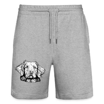 Nova-Scotia-Duck-Tolling-Retriever - Stanley/Stella Unisex Bio Joggingshorts Trainer  - Grau meliert - Vorne - Nik (191cm) & Marisol (170cm)
