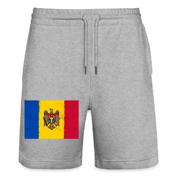 Drapeau de la Moldavie - Short de jogging bio TRAINER Stanley/Stella unisexe - gris chiné - Devant - Nik (191cm) & Marisol (170cm)