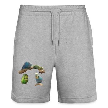 Budgies - Stanley/Stella Trainer Unisex Organic Jogging Shorts - heather grey - Front - Nik (191cm) & Marisol (170cm)
