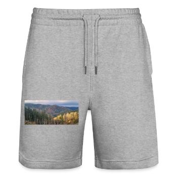 Herbstliche Waldlandschaft mit Sonnenlicht - Stanley/Stella Unisex Bio Joggingshorts Trainer  - Grau meliert - Vorne - Nik (191cm) & Marisol (170cm)