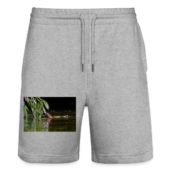 000_1134_DxO - Fressen unter Weidenblättern - Stanley/Stella Unisex Bio Joggingshorts Trainer  - Grau meliert - Vorne - Nik (191cm) & Marisol (170cm)