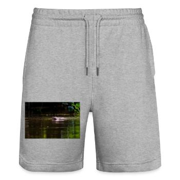 Biber schwimmt im flachen Wasser auf die Kamera zu - Stanley/Stella Unisex Bio Joggingshorts Trainer  - Grau meliert - Vorne - Nik (191cm) & Marisol (170cm)