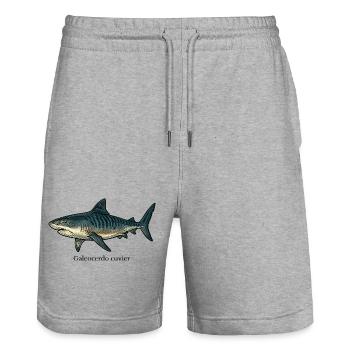Dessin de requin tigre Galeocerdo cuvier - Short de jogging bio TRAINER Stanley/Stella unisexe - gris chiné - Devant - Nik (191cm) & Marisol (170cm)