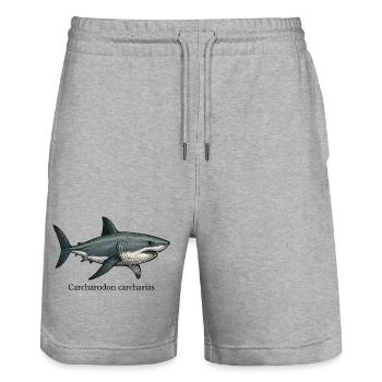 Carcharodon carcharias grand requin blanc - Short de jogging bio TRAINER Stanley/Stella unisexe - gris chiné - Devant - Nik (191cm) & Marisol (170cm)