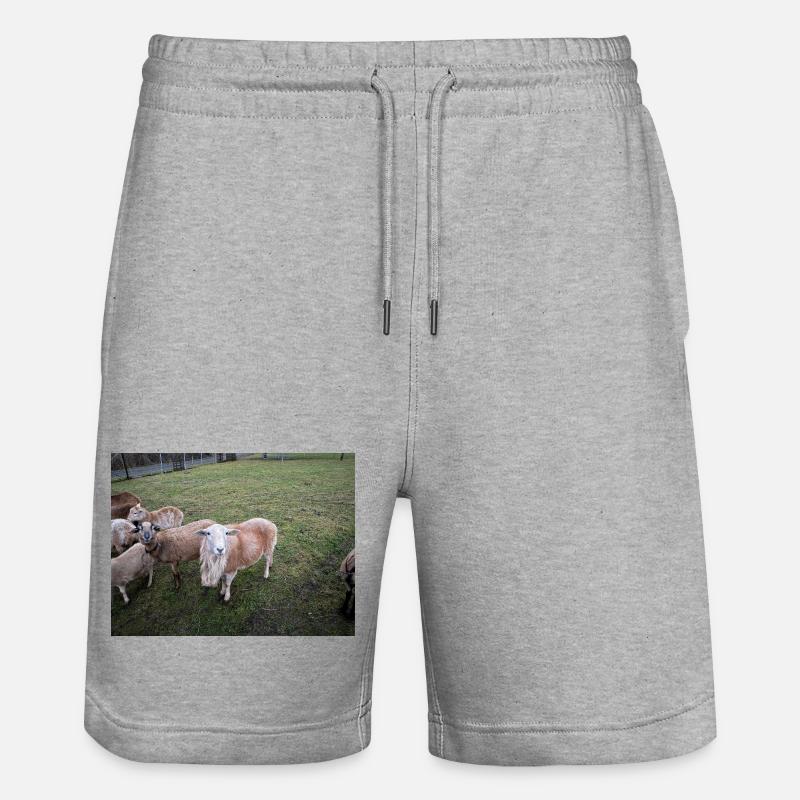 Bocki - Short de jogging bio TRAINER Stanley/Stella unisexe - gris chiné