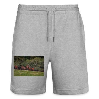 Meadow Deer Herd 000_8271_Nik_DxO - Stanley/Stella Trainer Unisex Organic Jogging Shorts - heather grey - Front - Nik (191cm) & Marisol (170cm)