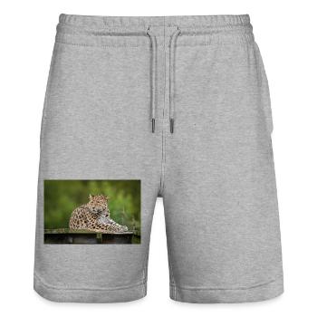 Leopard - Stanley/Stella Unisex Bio Joggingshorts Trainer  - Grau meliert - Vorne - Nik (191cm) & Marisol (170cm)