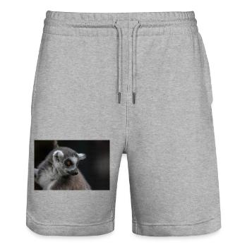 Ring Tailed Lemur - Stanley/Stella Trainer Unisex Organic Jogging Shorts - heather grey - Front - Nik (191cm) & Marisol (170cm)