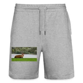 Deer on the edge of the lake - Stanley/Stella Trainer Unisex Organic Jogging Shorts - heather grey - Front - Nik (191cm) & Marisol (170cm)