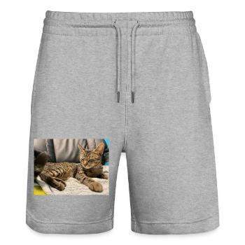 Chat tigre douillet à la lumière - Short de jogging bio TRAINER Stanley/Stella unisexe - gris chiné - Devant - Nik (191cm) & Marisol (170cm)