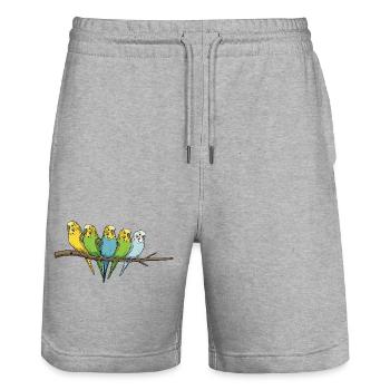Famille colorée de perruches ondulées sur la branche - Short de jogging bio TRAINER Stanley/Stella unisexe - gris chiné - Devant - Nik (191cm) & Marisol (170cm)
