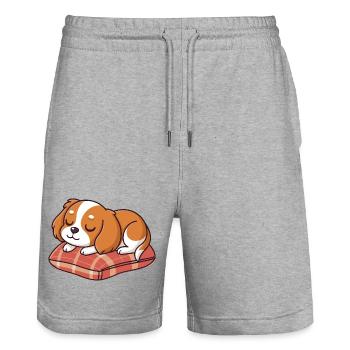Schlafwelpe auf kariertem Polster - Stanley/Stella Unisex Bio Joggingshorts Trainer  - Grau meliert - Vorne - Nik (191cm) & Marisol (170cm)