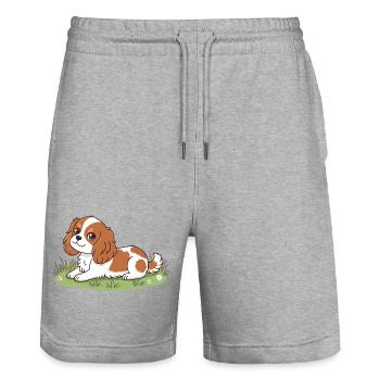 Welpenreiter in der Sonne auf Gras - Stanley/Stella Unisex Bio Joggingshorts Trainer  - Grau meliert - Vorne - Nik (191cm) & Marisol (170cm)