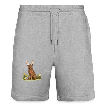Spring Bunny Australian Kelpie Dog with Easter Eggs - Stanley/Stella Trainer Unisex Organic Jogging Shorts - heather grey - Front - Nik (191cm) & Marisol (170cm)