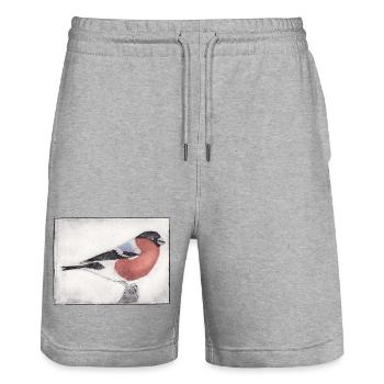 Vogel bunt koloriert - Druckvorlage handgeschnitzt - Stanley/Stella Unisex Bio Joggingshorts Trainer  - Grau meliert - Vorne - Nik (191cm) & Marisol (170cm)