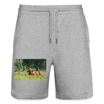 Alpen-Idylle: Kuh auf bayerischer Alm - Stanley/Stella Unisex Bio Joggingshorts Trainer  - Grau meliert - Vorne - Nik (191cm) & Marisol (170cm)