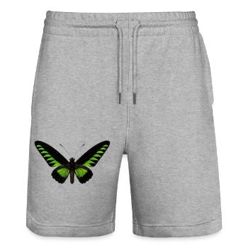 Rajah Brookes Birdwing Trogonoptera brookiana  - Stanley/Stella Trainer Unisex Organic Jogging Shorts - heather grey - Front - Nik (191cm) & Marisol (170cm)