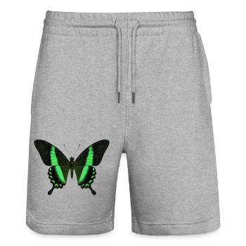 Smaragdschwalbenschwanz Papilio palinurus Schmetterling - Stanley/Stella Unisex Bio Joggingshorts Trainer  - Grau meliert - Vorne - Nik (191cm) & Marisol (170cm)