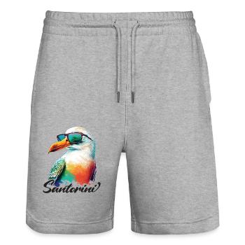 Santorini Griechenland Urlaub Möwe Sonnenbrille - Stanley/Stella Unisex Bio Joggingshorts Trainer  - Grau meliert - Vorne - Nik (191cm) & Marisol (170cm)