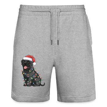 Havanese Christmas Lights Xmas Dogs Gifts - Stanley/Stella Unisex Bio Joggingshorts Trainer  - Grau meliert - Vorne - Nik (191cm) & Marisol (170cm)