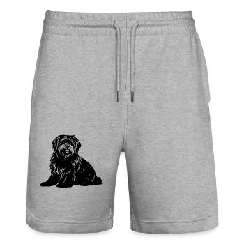 Chien Bichon Hachon - Short de jogging bio TRAINER Stanley/Stella unisexe - gris chiné - Devant - Nik (191cm) & Marisol (170cm)