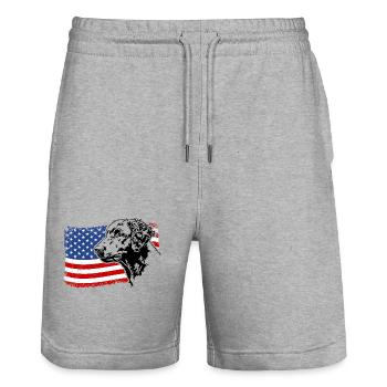 Curly Coated Retriever US Amerika Fahne Wilsigns - Stanley/Stella Unisex Bio Joggingshorts Trainer  - Grau meliert - Vorne - Nik (191cm) & Marisol (170cm)