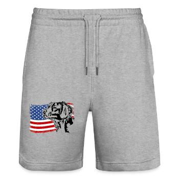 Epagneul Breton US America Flag Dogs Wilsigns - Stanley/Stella Trainer Unisex Organic Jogging Shorts - heather grey - Front - Nik (191cm) & Marisol (170cm)