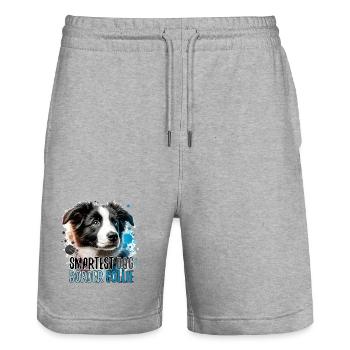 Border Collie chiot le plus intelligent chien cadeau - Short de jogging bio TRAINER Stanley/Stella unisexe - gris chiné - Devant - Nik (191cm) & Marisol (170cm)