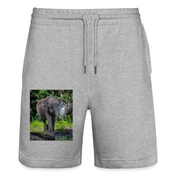 Beautiful Elephant - Stanley/Stella Trainer Unisex Organic Jogging Shorts - heather grey - Front - Nik (191cm) & Marisol (170cm)